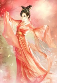 《局中局之 妾奴》