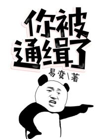 《你被通缉了》