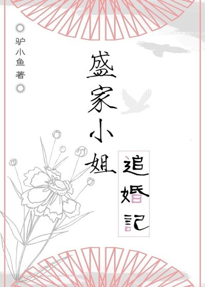 盛家小姐追婚记