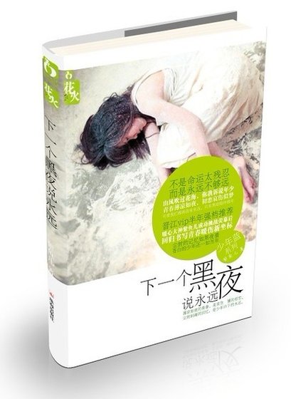 《谁以微笑,淡了流年/下一个黑夜说永远(网络版)》
