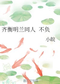 《(BG/知否同人)齊衡明蘭同人 不負》