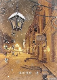 《你的冬天我是小雪》