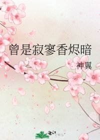 《曾是寂寥香燼暗》