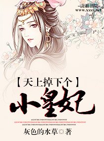 天上掉下个小皇妃