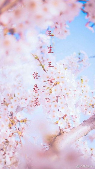 《三生三世終眷屬(東華鳳九電視劇版續寫)》