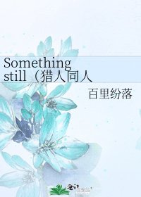 《Something still(獵人同人)(新流星年華)》