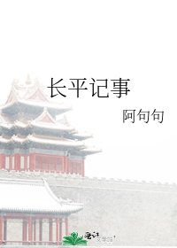 《长平记事》