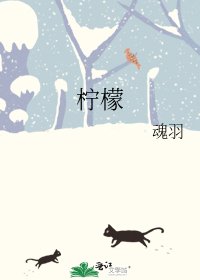 《柠檬》