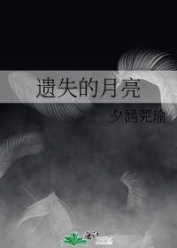 《遗失的月亮》