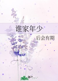 《谁家年少》