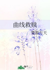 曲线救赎