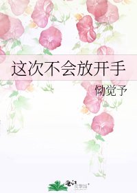 《这次不会放开手》