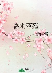 《霰羽落殇》
