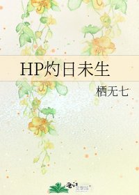 《HP灼日未生》