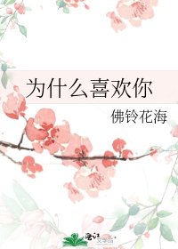 《为什么喜欢你》