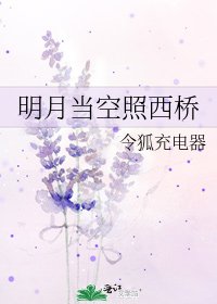 《明月当空照西桥》