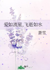 《愛如流星,飛逝如水》