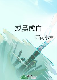 《或黑或白》
