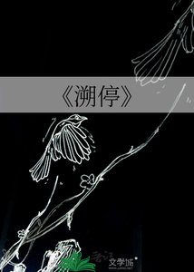 《溯停》