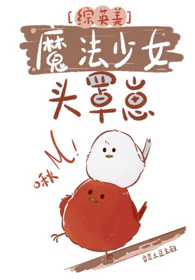 （綜英美同人）[綜英美]魔法少女頭罩崽
